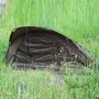 Карповая палатка конусообразная зеленая